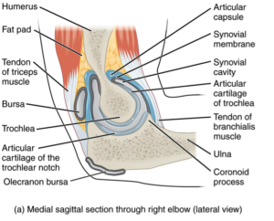 elbowarthritis