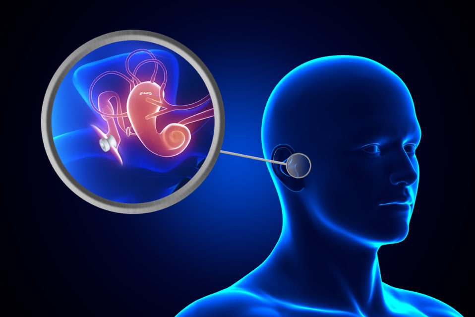 Ear Tubes GlobeHealer